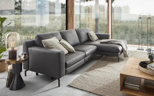 Polstergarnitur Natura Princeton Leder